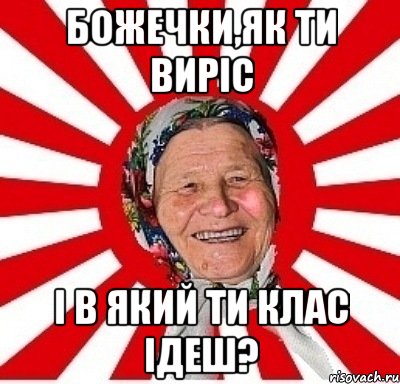 божечки,як ти виріс і в який ти клас ідеш?, Мем  бабуля