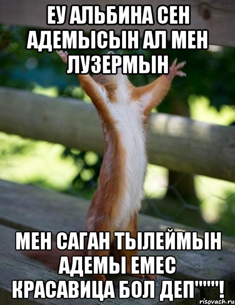 еу альбина сен адемысын ал мен лузермын мен саган тылеймын адемы емес красавица бол деп"""!, Мем    белка молится