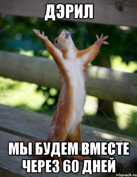 дэрил мы будем вместе через 60 дней, Мем    белка молится