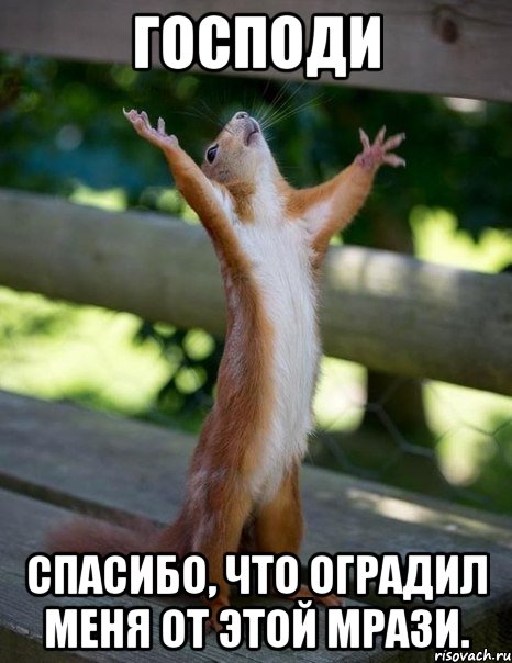 господи спасибо, что оградил меня от этой мрази., Мем    белка молится