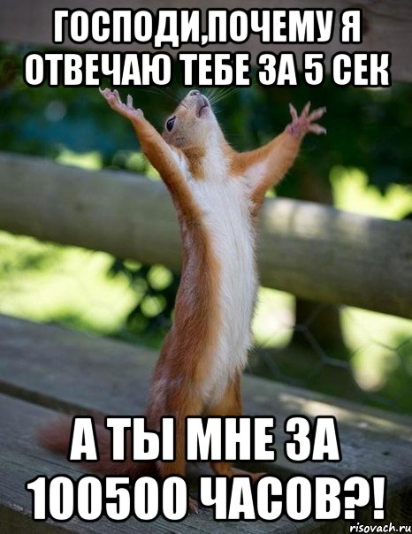 господи,почему я отвечаю тебе за 5 сек а ты мне за 100500 часов?!, Мем    белка молится