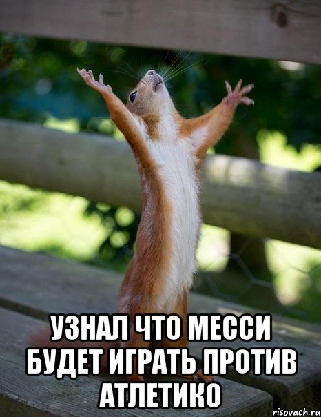  узнал что месси будет играть против атлетико, Мем    белка молится