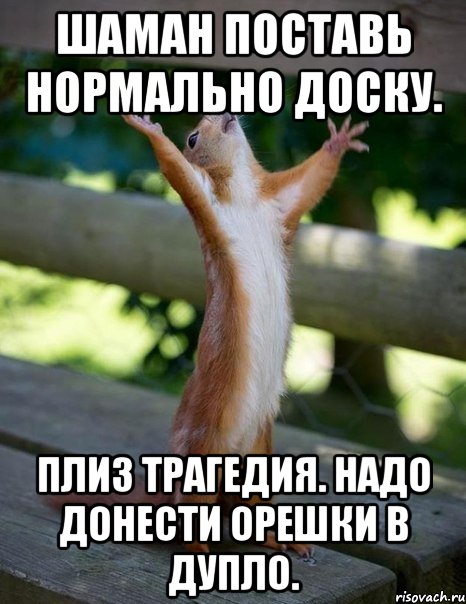 шаман поставь нормально доску. плиз трагедия. надо донести орешки в дупло., Мем    белка молится