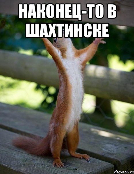 наконец-то в шахтинске , Мем    белка молится