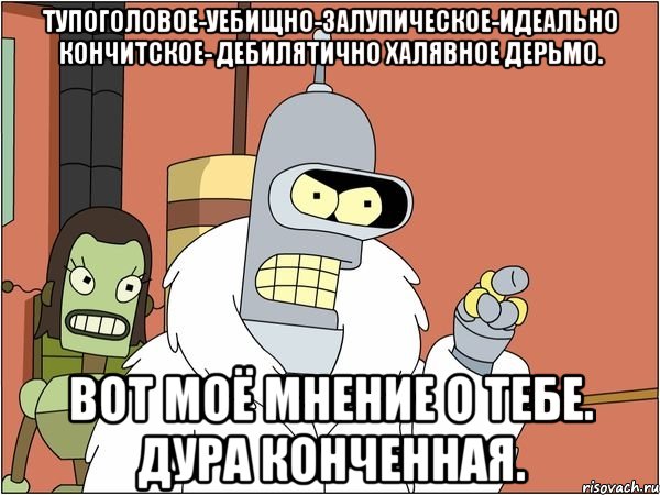 тупоголовое-уебищно-залупическое-идеально кончитское- дебилятично халявное дерьмо. вот моё мнение о тебе. дура конченная., Мем Бендер