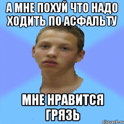 а мне похуй что надо ходить по асфальту мне нравится грязь, Мем бЕРДА
