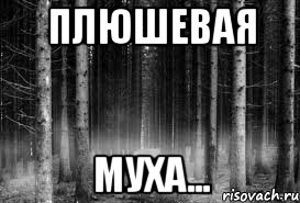 плюшевая муха..., Мем безысходность