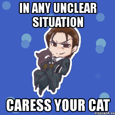 in any unclear situation caress your cat
