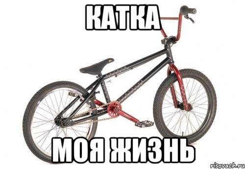 катка моя жизнь, Мем BMX