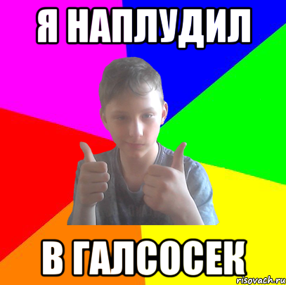 я наплудил в галсосек