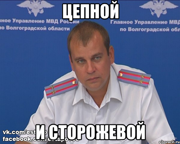 цепной и сторожевой, Мем Бравый эшник
