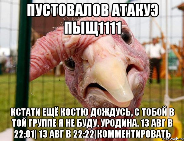пустовалов атакуэ пыщ1111 кстати ещё костю дождусь, с тобой в той группе я не буду. уродина. 13 авг в 22:01| 13 авг в 22:22|комментировать, Мем цат