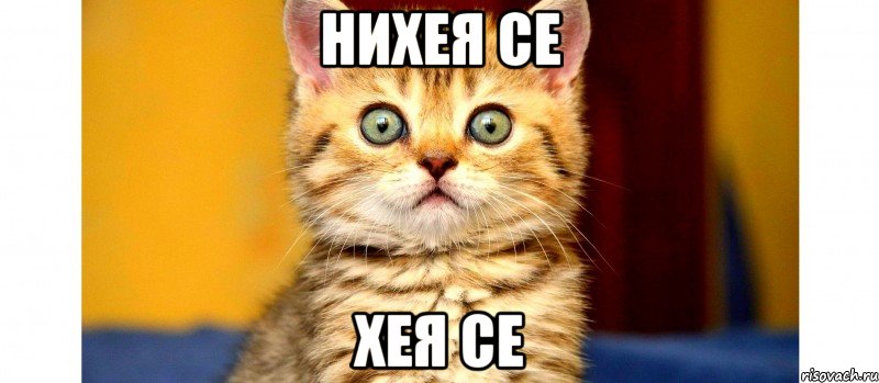 нихея се хея се, Мем ч
