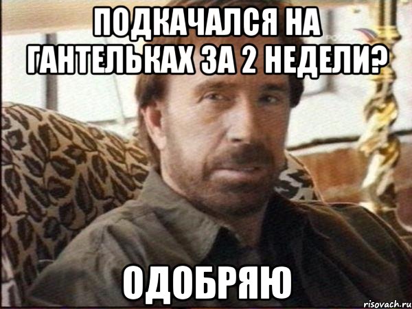 подкачался на гантельках за 2 недели? одобряю