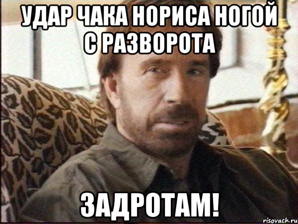 удар чака нориса ногой с разворота задротам!