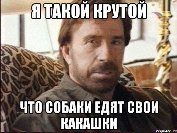 я такой крутой что собаки едят свои какашки