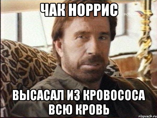 чак норрис высасал из кровососа всю кровь