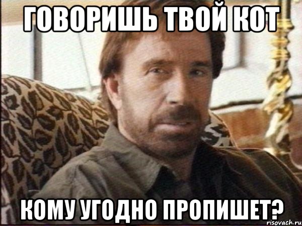 говоришь твой кот кому угодно пропишет?