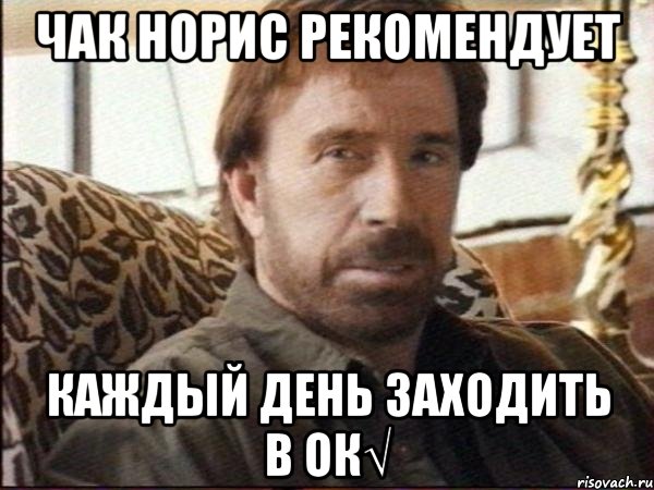 чак норис рекомендует каждый день заходить в ок√