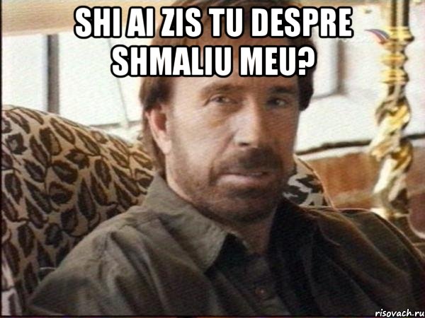 shi ai zis tu despre shmaliu meu? 