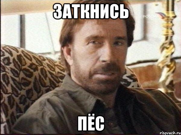 заткнись пёс