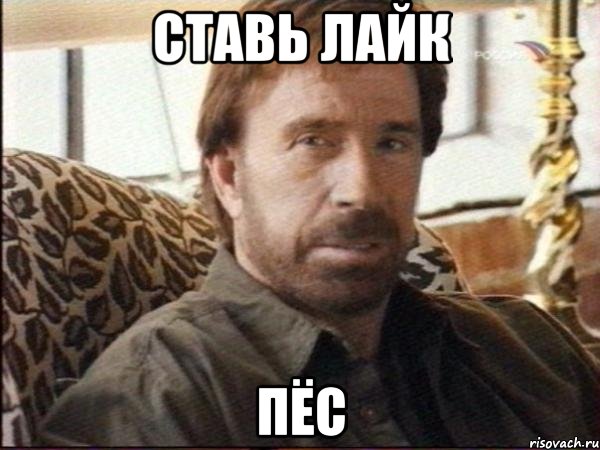 ставь лайк пёс