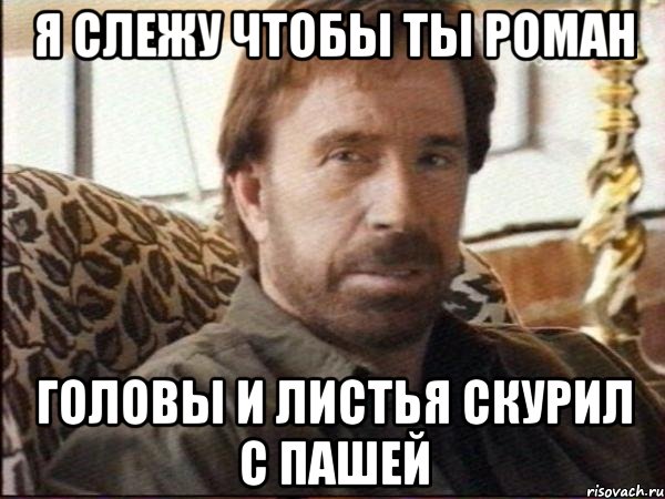 я слежу чтобы ты роман головы и листья скурил с пашей