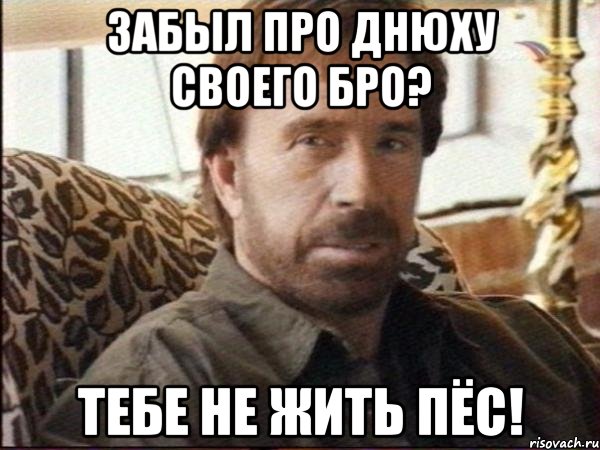 забыл про днюху своего бро? тебе не жить пёс!
