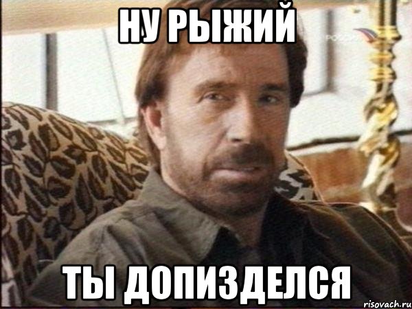ну рыжий ты допизделся