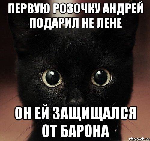 первую розочку андрей подарил не лене он ей защищался от барона