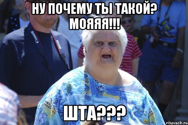 ну почему ты такой? мояяя!!! шта???, Мем Шта (Бабка wat)