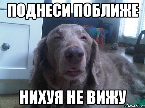 поднеси поближе нихуя не вижу, Мем ща чихну