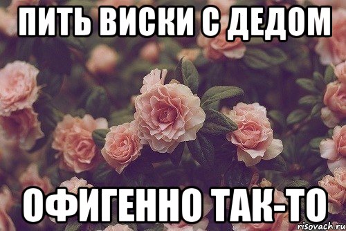 пить виски с дедом офигенно так-то, Мем цветок