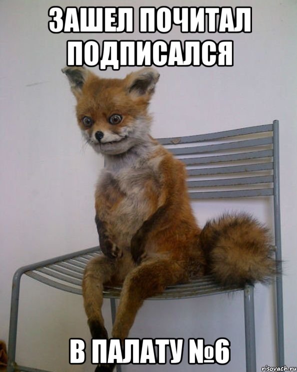 зашел почитал подписался в палату №6, Мем цй214