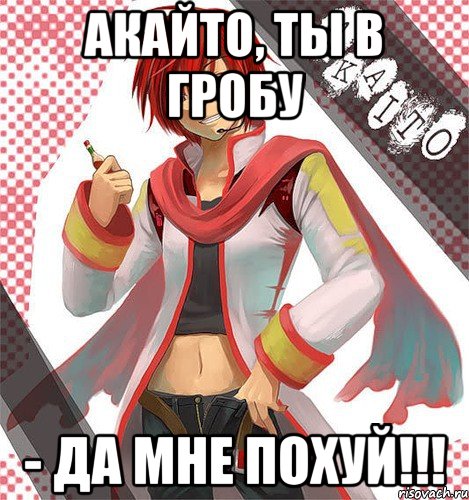 акайто, ты в гробу - да мне похуй!!!, Мем да мне похуй