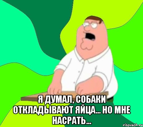  я думал, собаки откладывают яйца… но мне насрать..., Мем  Да всем насрать (Гриффин)