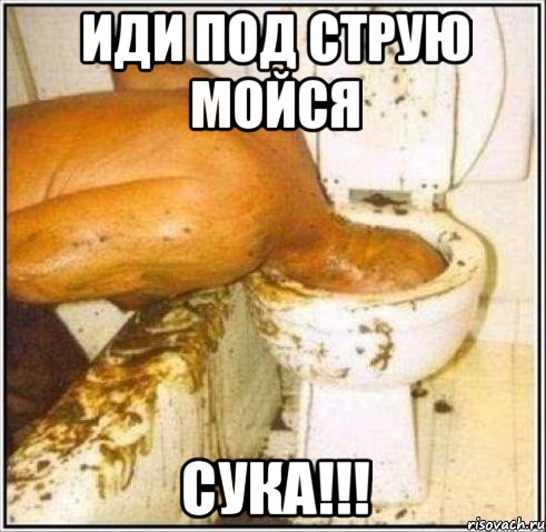 иди под струю мойся сука!!!, Мем Дайвер