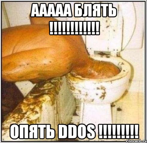 ааааа блять !!! опять ddos !!!, Мем Дайвер