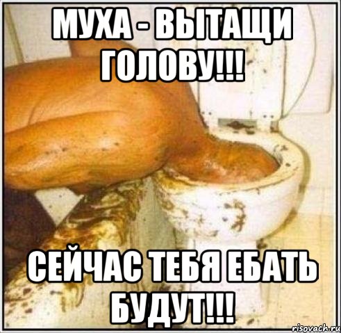 муха - вытащи голову!!! сейчас тебя ебать будут!!!, Мем Дайвер