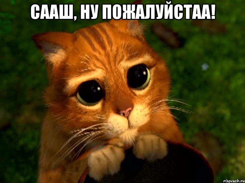 сааш, ну пожалуйстаа! 