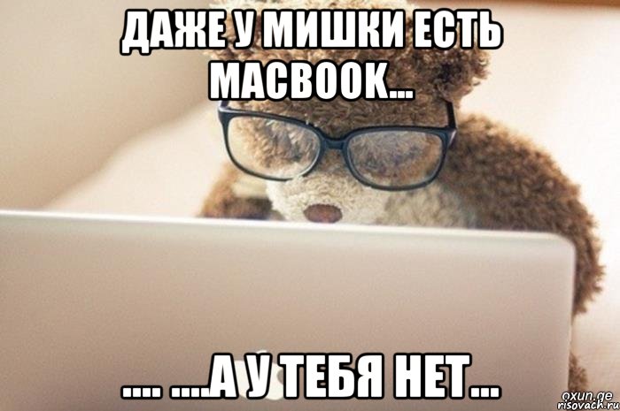 даже у мишки есть macbook... .... ....а у тебя нет..., Мем даже у мишки есть MacBook а у те