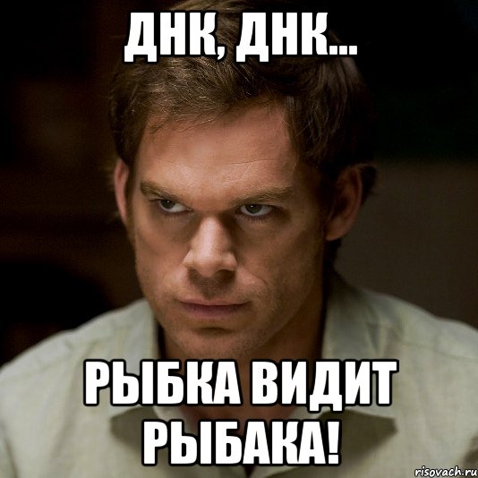 днк, днк... рыбка видит рыбака!