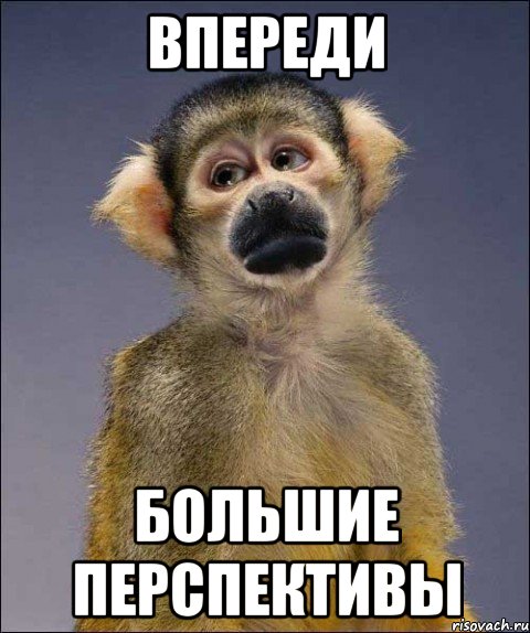 впереди большие перспективы, Мем депрессивная мартышка