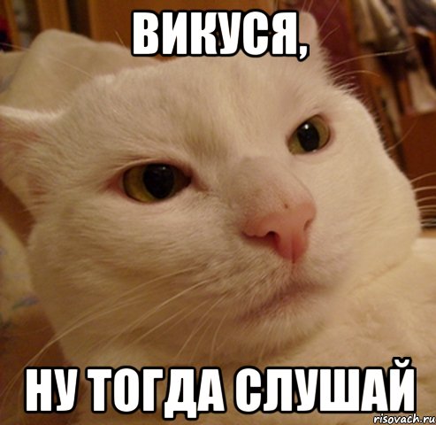 викуся, ну тогда слушай, Мем Дерзкий котэ