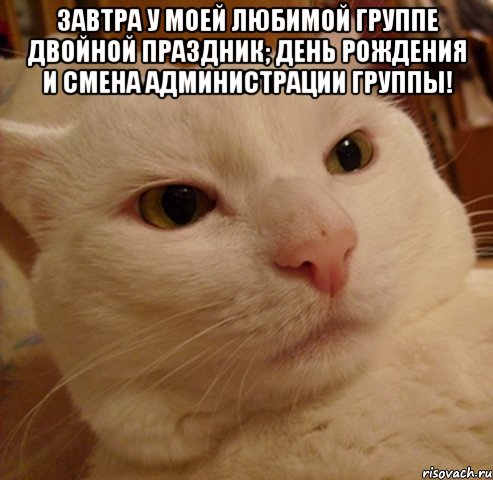 завтра у моей любимой группе двойной праздник; день рождения и смена администрации группы! , Мем Дерзкий котэ