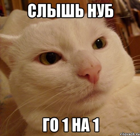 слышь нуб го 1 на 1, Мем Дерзкий котэ
