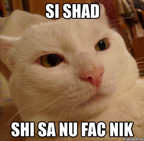 si shad shi sa nu fac nik