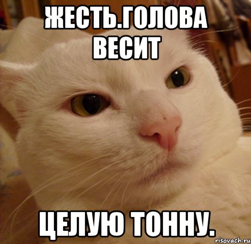жесть.голова весит целую тонну.