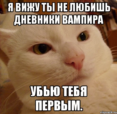 я вижу ты не любишь дневники вампира убью тебя первым., Мем Дерзкий котэ