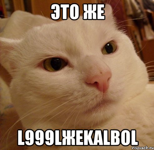 это же l999lжekalbol, Мем Дерзкий котэ